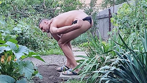 Evening Entertainment In The Garden