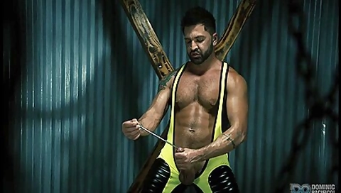 Sound Of Dominic - Dominic Pacifico