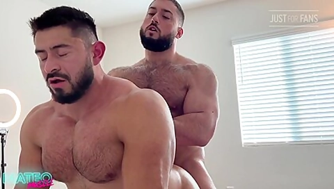 Osos Musculados Se Adoran Y Sudan